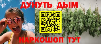 гашик Лесосибирск