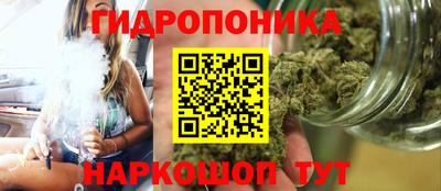 прущие грибы Ликино-Дулёво