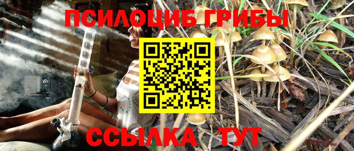 Псилоцибиновые грибы Magic Shrooms  Псилоцибиновые грибы Psilocybine cubensis  Электросталь  Вход с VPN 
