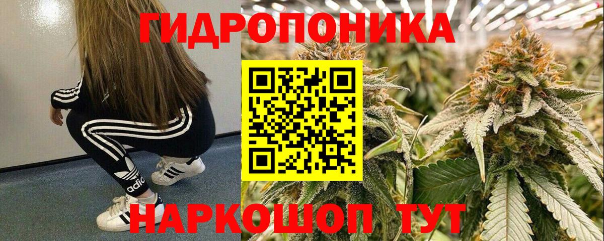 Шишки марихуана сатива Электросталь
